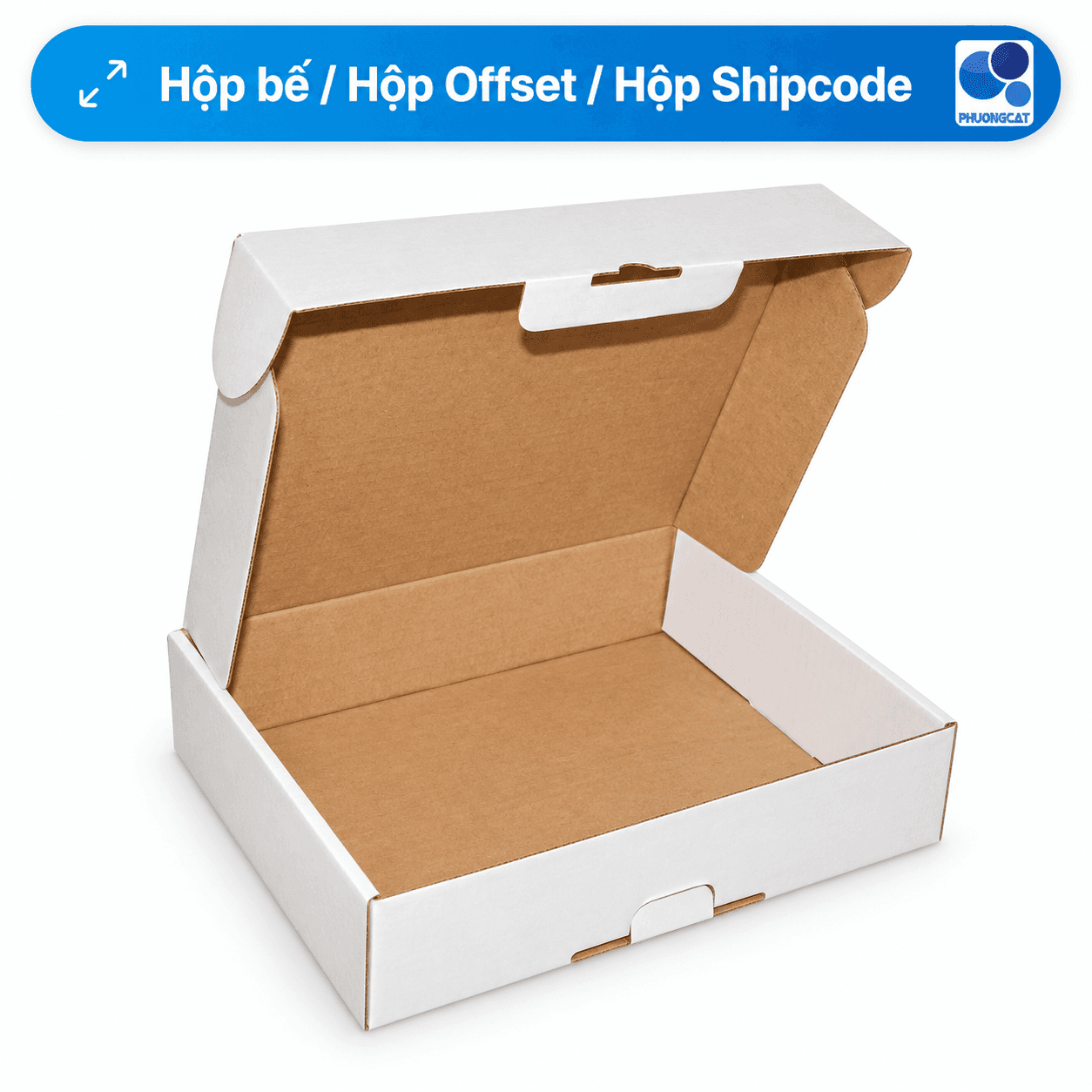 Die-cut / Offset / Shipping boxes