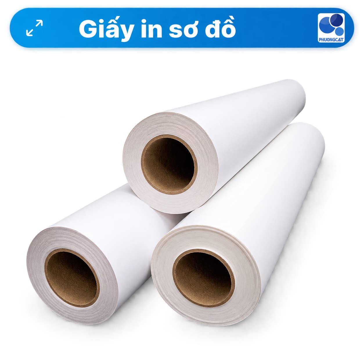 Giấy in sơ đồ dạng cuộn trong khung sản phẩm Phuong Cat